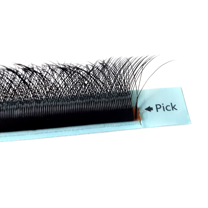 Clover W Eyelash Extension 3D  - Eyelash Extension Logo review and price
