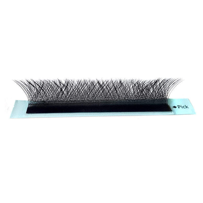 Clover W Eyelash Extension 3D  - Eyelash Extension Logo review and price