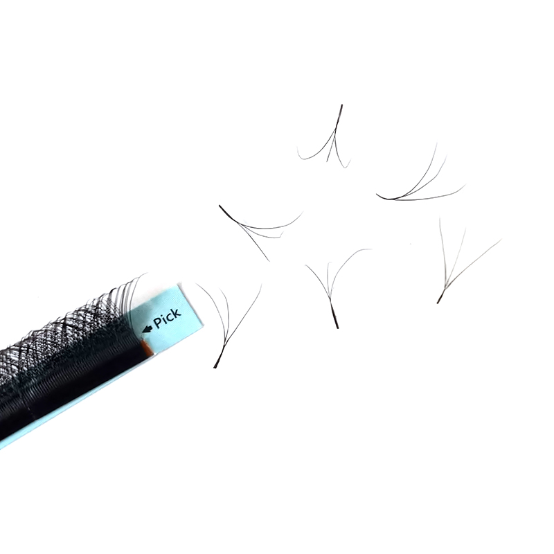 Clover W Eyelash Extension 3D  - Eyelash Extension Logo review and price